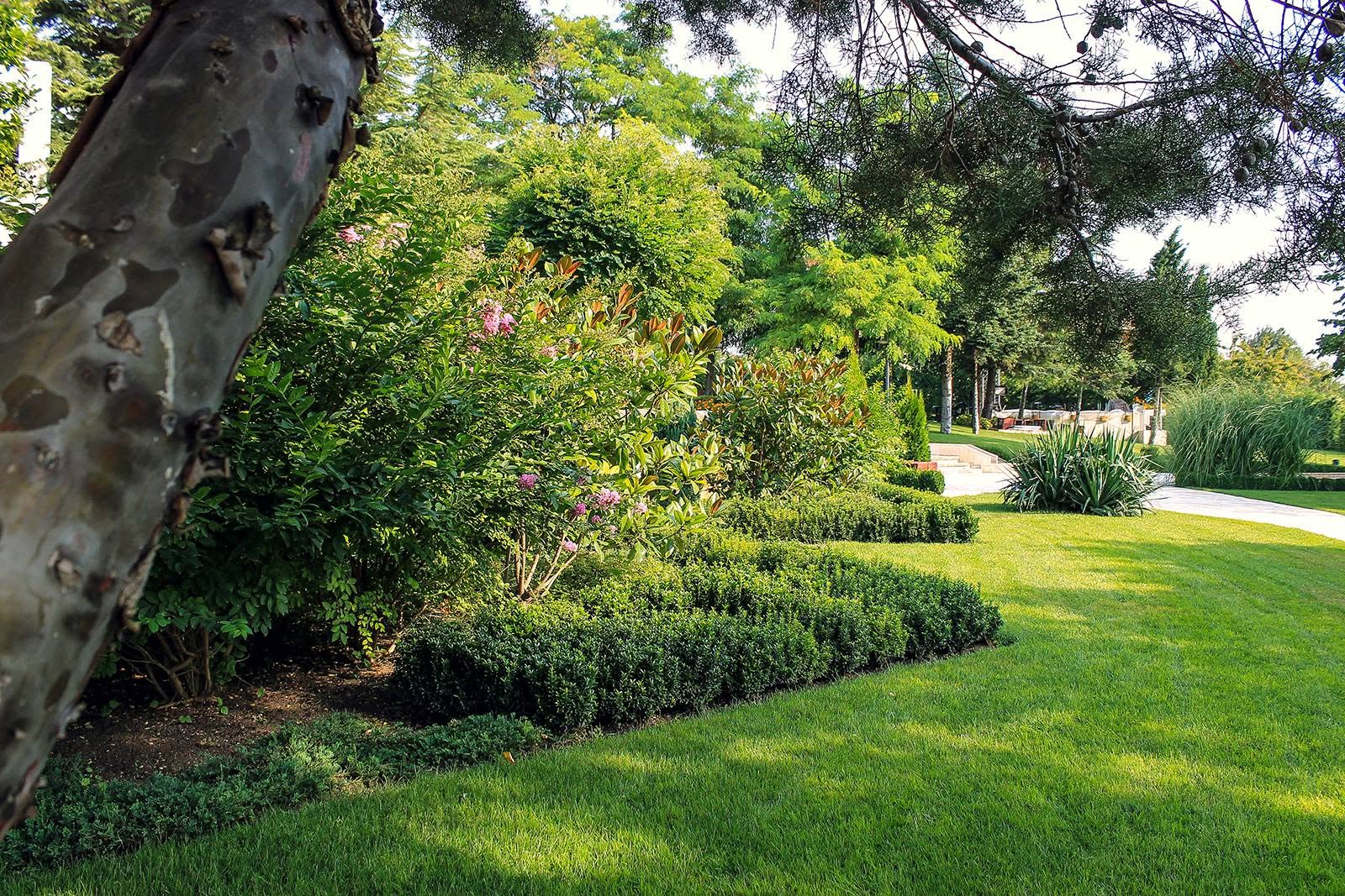VFU Green Park – 2